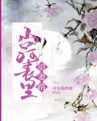 山河表里追妻路